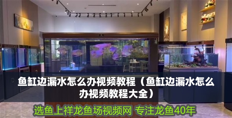 魚缸邊漏水怎么辦視頻教程（魚缸邊漏水怎么辦視頻教程大全）