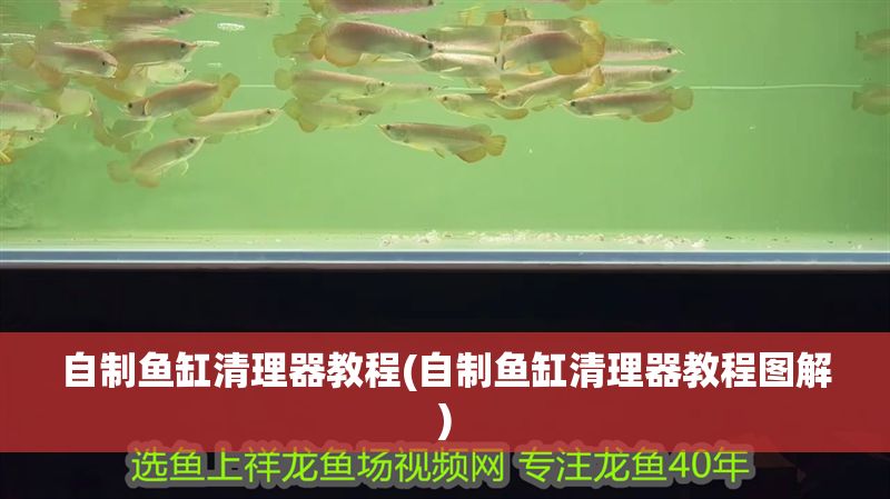 自制魚缸清理器教程(自制魚缸清理器教程圖解)