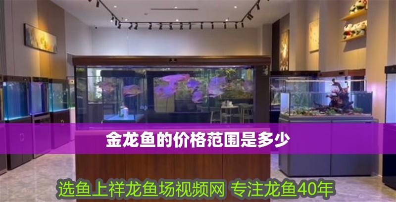 女性婦科pH值6.0是怎么回事？解析異常原因與健康應(yīng)對(duì)，女性婦科pH值6.0異常原因解析及健康應(yīng)對(duì)指南