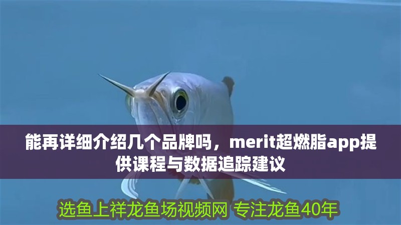 能再詳細介紹幾個品牌嗎，merit超燃脂app提供課程與數據追蹤建議