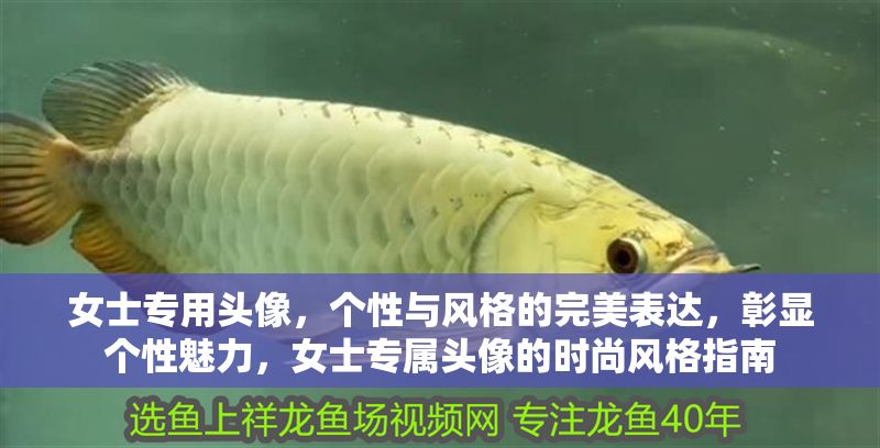 女士專用頭像，個性與風格的完美表達，彰顯個性魅力，女士專屬頭像的時尚風格指南