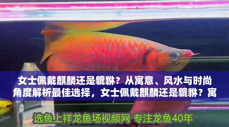 女士佩戴麒麟還是貔貅？從寓意、風水與時尚角度解析最佳選擇，女士佩戴麒麟還是貔貅？寓意、風水與時尚全解析