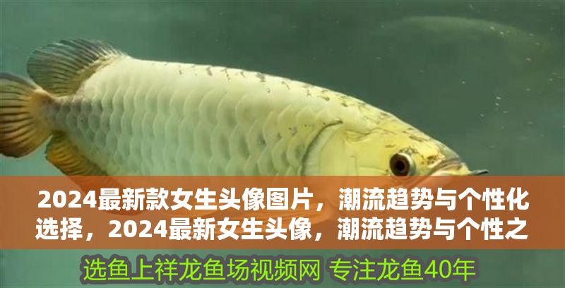 2024最新款女生頭像圖片，潮流趨勢(shì)與個(gè)性化選擇，2024最新女生頭像，潮流趨勢(shì)與個(gè)性之選