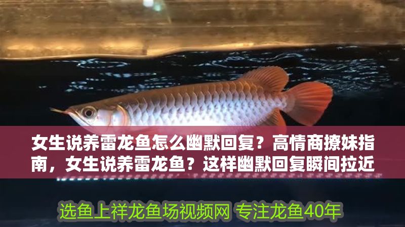 女生說養雷龍魚怎么幽默回復？高情商撩妹指南，女生說養雷龍魚？這樣幽默回復瞬間拉近距離！高情商撩妹話術