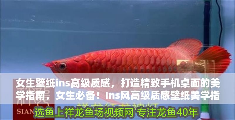 女生壁紙ins高級質感，打造精致手機桌面的美學指南，女生必備！Ins風高級質感壁紙美學指南，輕松打造精致手機桌面