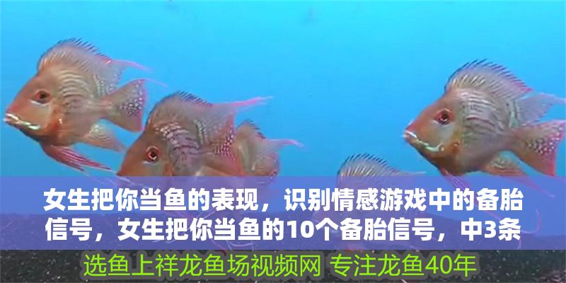 女生把你當魚的表現，識別情感游戲中的備胎信號，女生把你當魚的10個備胎信號，中3條以上及時止損 女生把你當魚的表現，識別情感游戲中的備胎信號，女生把你當魚的10個備胎信號，中3條以上及時止損 龍魚百科 第1張