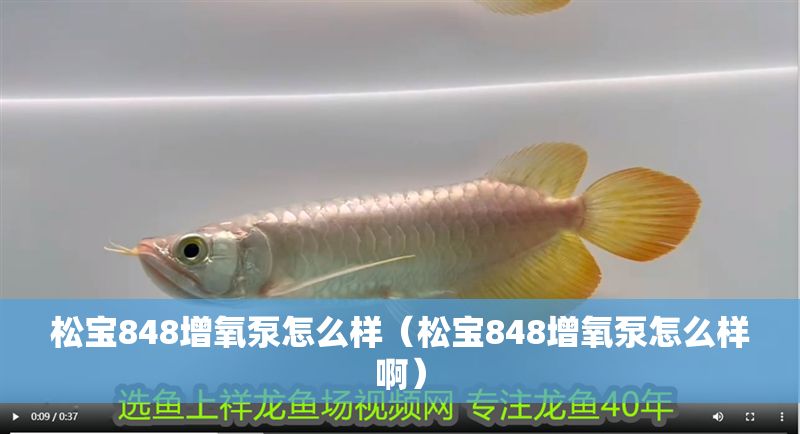 松寶848增氧泵怎么樣（松寶848增氧泵怎么樣啊）