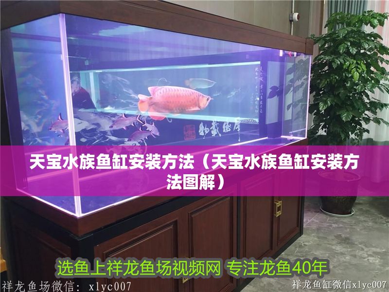 天寶水族魚缸安裝方法（天寶水族魚缸安裝方法圖解）