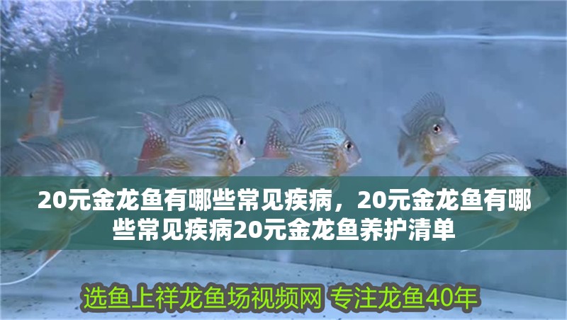 20元金龍魚有哪些常見疾病，20元金龍魚有哪些常見疾病20元金龍魚養護清單 20元金龍魚有哪些常見疾病，20元金龍魚有哪些常見疾病20元金龍魚養護清單 龍魚百科