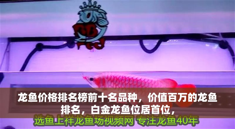 龍魚價格排名榜前十名品種，價值百萬的龍魚排名，白金龍魚位居首位，