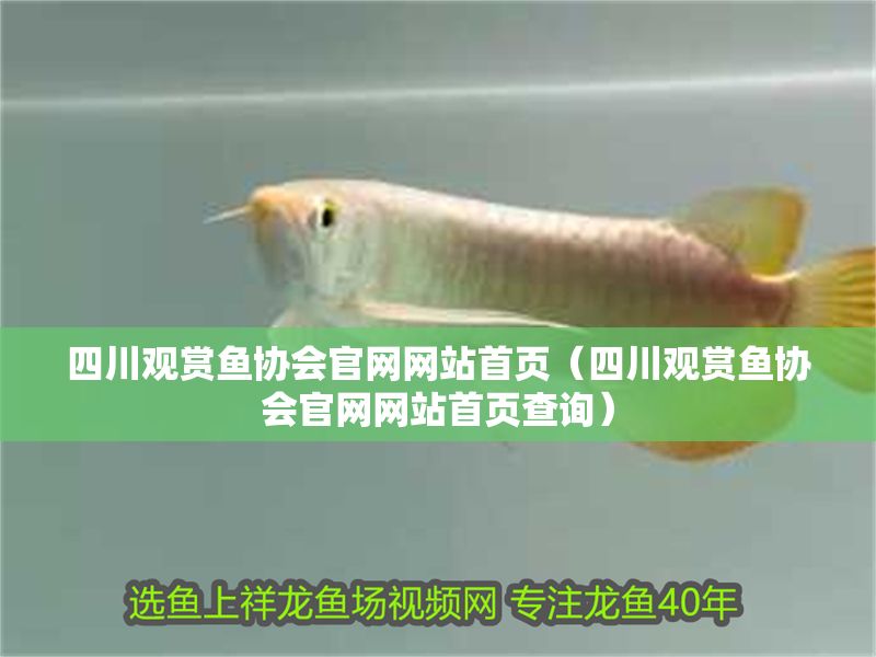 四川觀賞魚(yú)協(xié)會(huì)官網(wǎng)網(wǎng)站首頁(yè)（四川觀賞魚(yú)協(xié)會(huì)官網(wǎng)網(wǎng)站首頁(yè)查詢）