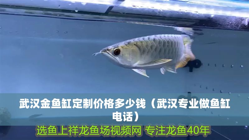 武漢金魚缸定制價格多少錢（武漢專業做魚缸電話）