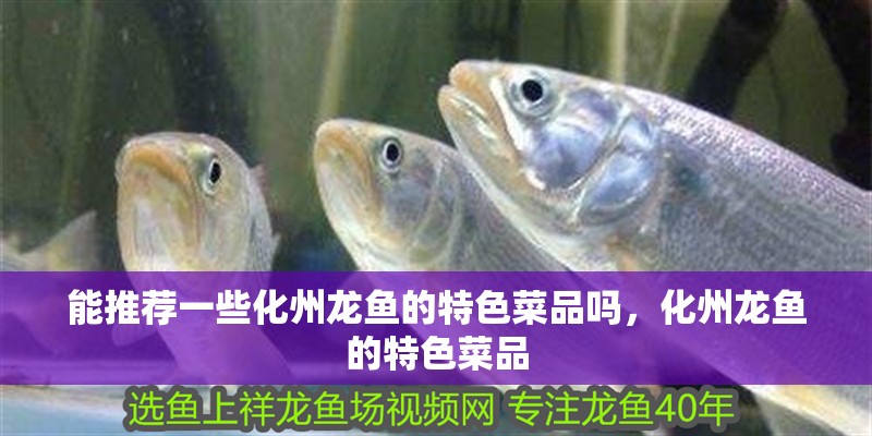 能推薦一些化州龍魚的特色菜品嗎，化州龍魚的特色菜品