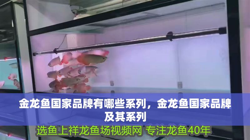 金龍魚國家品牌有哪些系列，金龍魚國家品牌及其系列