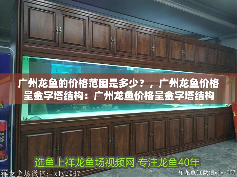 女人夢見魚有巨大財運？解析夢境背后的財富密碼，女人夢見魚預示巨大財運？揭秘夢境中的財富玄機