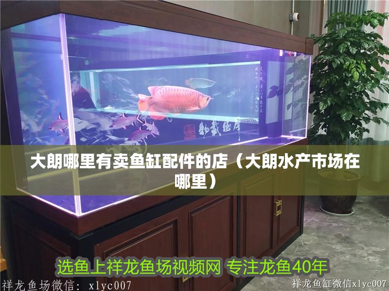 大朗哪里有賣魚缸配件的店（大朗水產市場在哪里）