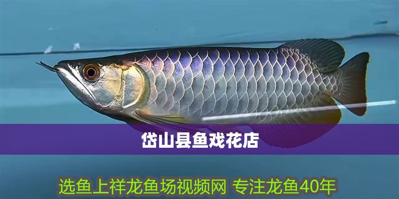 岱山縣魚戲花店