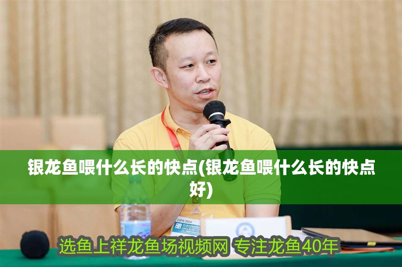 銀龍魚喂什么長的快點(銀龍魚喂什么長的快點好) 龍魚百科 第1張 銀龍魚喂什么長的快點(銀龍魚喂什么長的快點好) 銀龍魚喂什么長的快點(銀龍魚喂什么長的快點好) 龍魚百科 第1張