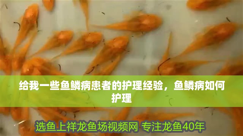 魚缸用增氧泵價格是多少:魚缸增氧機(jī)-xtrac增氧機(jī)-xtrac增氧機(jī) 給我一些魚鱗病患者的護(hù)理經(jīng)驗,魚鱗病如何護(hù)理 龍魚百科 給我一些魚鱗病患者的護(hù)理經(jīng)驗,魚鱗病如何護(hù)理 給我一些魚鱗病患者的護(hù)理經(jīng)驗,魚鱗病如何護(hù)理 龍魚百科