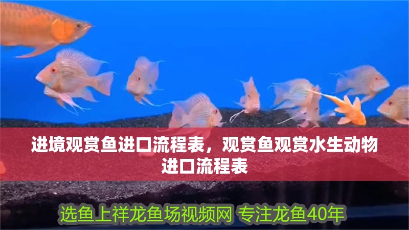 進境觀賞魚進口流程表，觀賞魚觀賞水生動物進口流程表