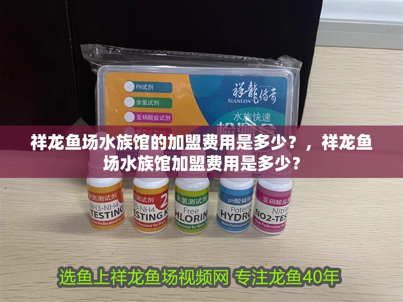 祥龍魚場水族館的加盟費用是多少？，祥龍魚場水族館加盟費用是多少？ 祥龍魚場水族館的加盟費用是多少？，祥龍魚場水族館加盟費用是多少？ 龍魚百科