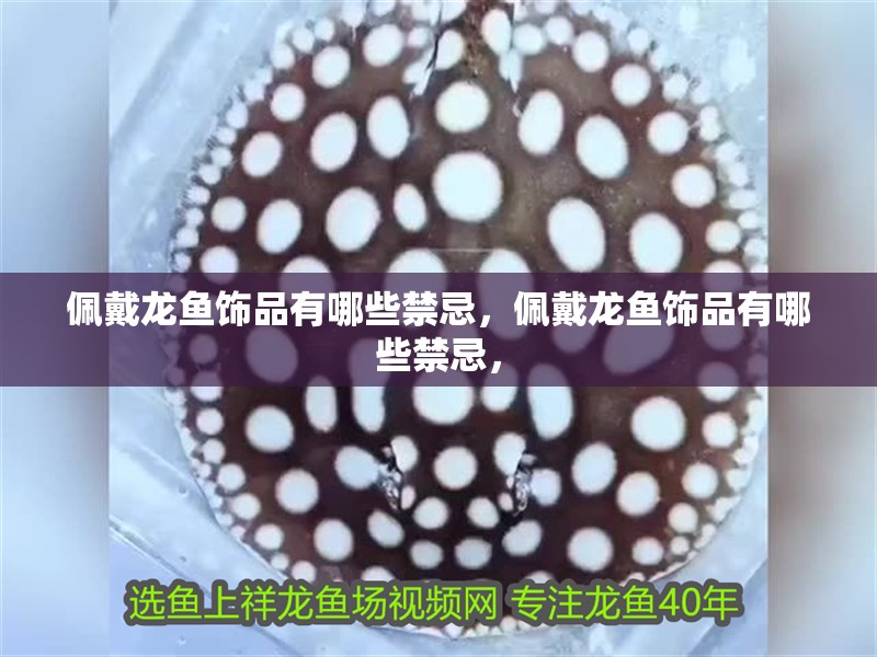 佩戴龍魚飾品有哪些禁忌，佩戴龍魚飾品有哪些禁忌， 佩戴龍魚飾品有哪些禁忌，佩戴龍魚飾品有哪些禁忌， 龍魚百科