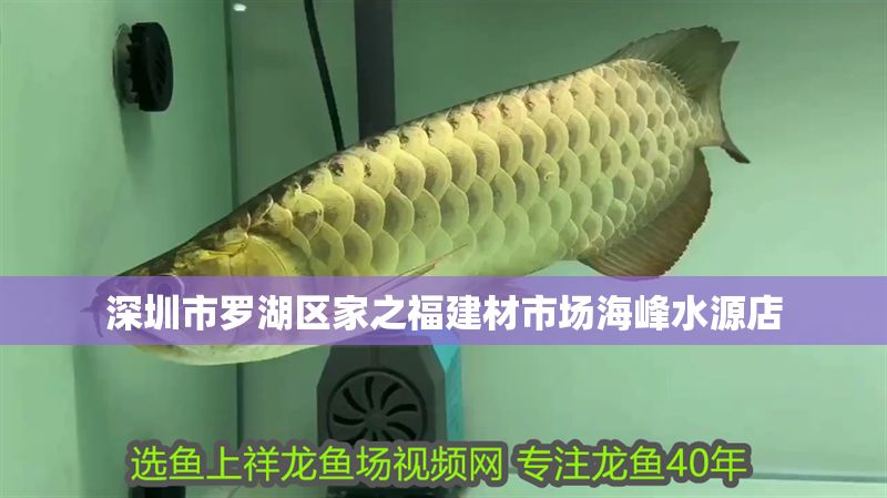 深圳市羅湖區家之福建材市場海峰水源店