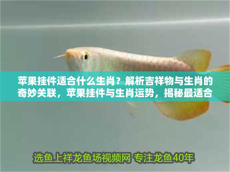 蘋果掛件適合什么生肖？解析吉祥物與生肖的奇妙關聯，蘋果掛件與生肖運勢，揭秘最適合佩戴的生肖及其吉祥寓意