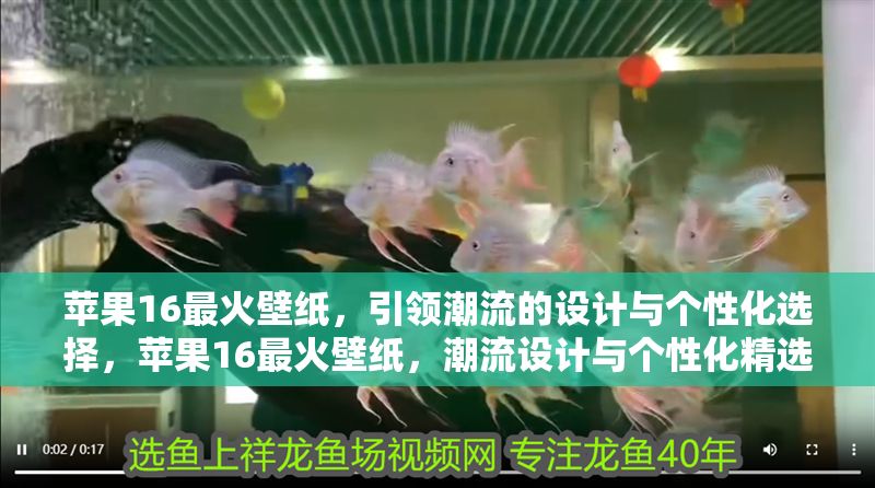 蘋果16最火壁紙，引領潮流的設計與個性化選擇，蘋果16最火壁紙，潮流設計與個性化精選