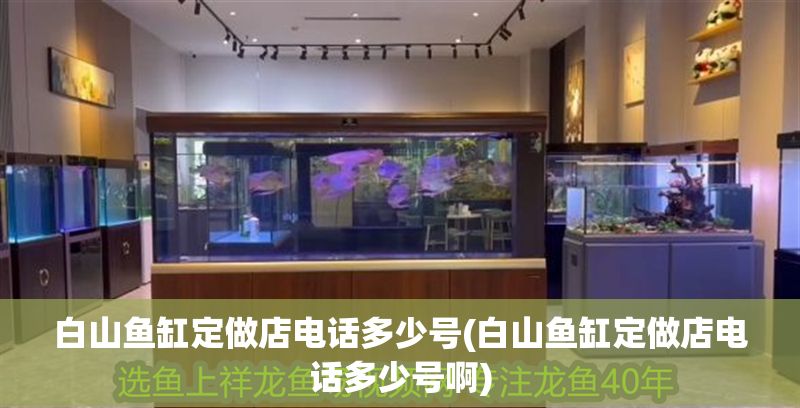 白山魚缸定做店電話多少號(白山魚缸定做店電話多少號啊)