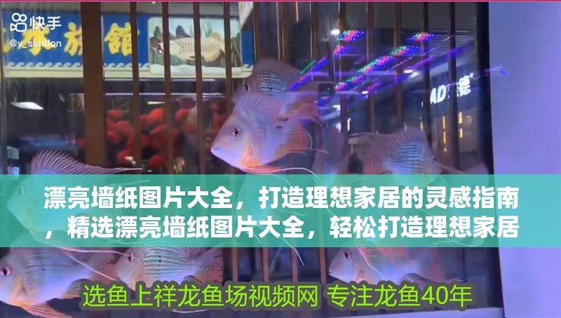 漂亮墻紙圖片大全，打造理想家居的靈感指南，精選漂亮墻紙圖片大全，輕松打造理想家居的靈感指南