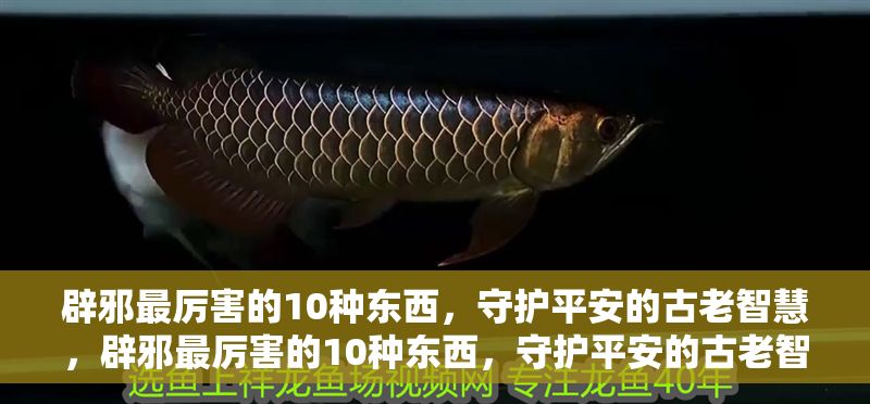 辟邪最厲害的10種東西，守護平安的古老智慧，辟邪最厲害的10種東西，守護平安的古老智慧 辟邪最厲害的10種東西，守護平安的古老智慧，辟邪最厲害的10種東西，守護平安的古老智慧 龍魚百科 第1張