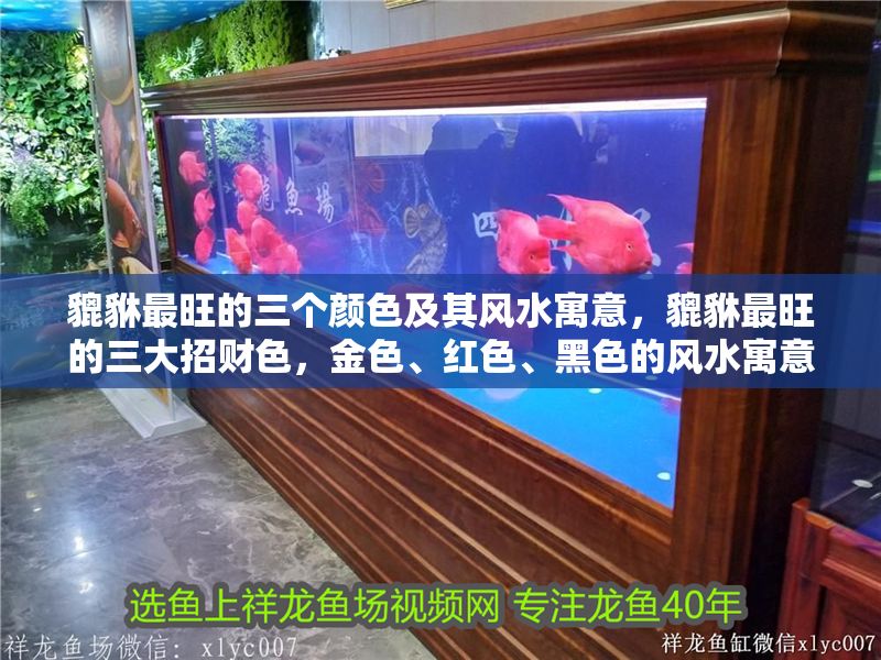 貔貅最旺的三個顏色及其風(fēng)水寓意，貔貅最旺的三大招財(cái)色，金色、紅色、黑色的風(fēng)水寓意解析