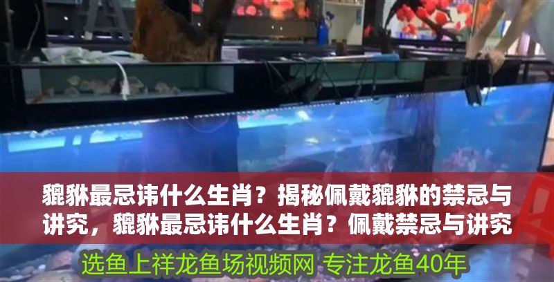 貔貅最忌諱什么生肖？揭秘佩戴貔貅的禁忌與講究，貔貅最忌諱什么生肖？佩戴禁忌與講究全解析