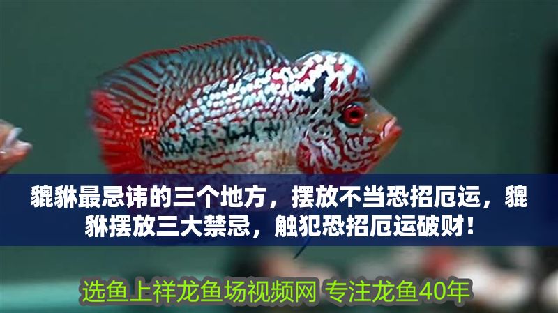 貔貅最忌諱的三個地方，擺放不當恐招厄運，貔貅擺放三大禁忌，觸犯恐招厄運破財！