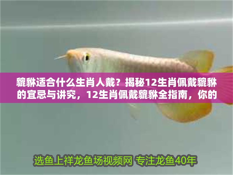 貔貅適合什么生肖人戴？揭秘12生肖佩戴貔貅的宜忌與講究，12生肖佩戴貔貅全指南，你的屬相適合戴嗎？