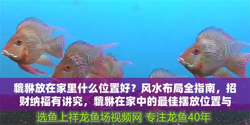 貔貅放在家里什么位置好？風(fēng)水布局全指南，招財(cái)納福有講究，貔貅在家中的最佳擺放位置與風(fēng)水布局全解析