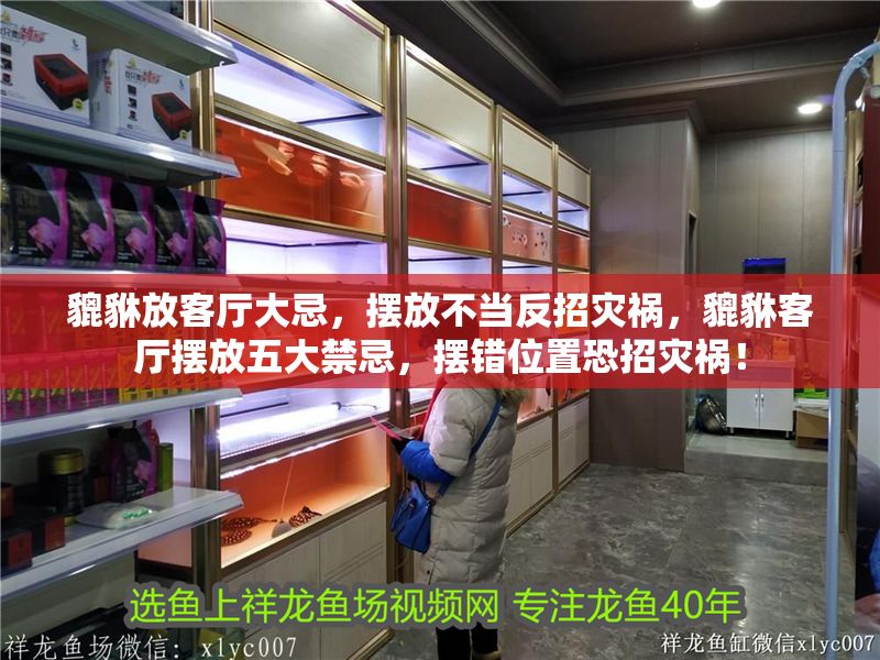 貔貅放客廳大忌，擺放不當反招災(zāi)禍，貔貅客廳擺放五大禁忌，擺錯位置恐招災(zāi)禍！