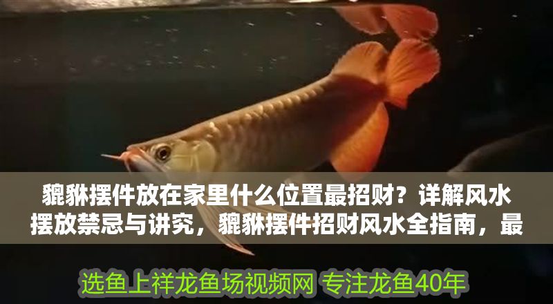 貔貅擺件放在家里什么位置最招財(cái)？詳解風(fēng)水?dāng)[放禁忌與講究，貔貅擺件招財(cái)風(fēng)水全指南，最佳擺放位置與禁忌詳解