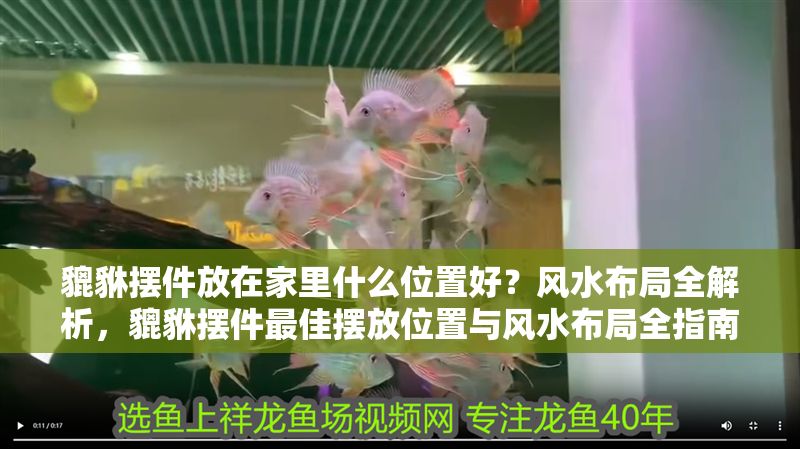 貔貅擺件放在家里什么位置好？風(fēng)水布局全解析，貔貅擺件最佳擺放位置與風(fēng)水布局全指南