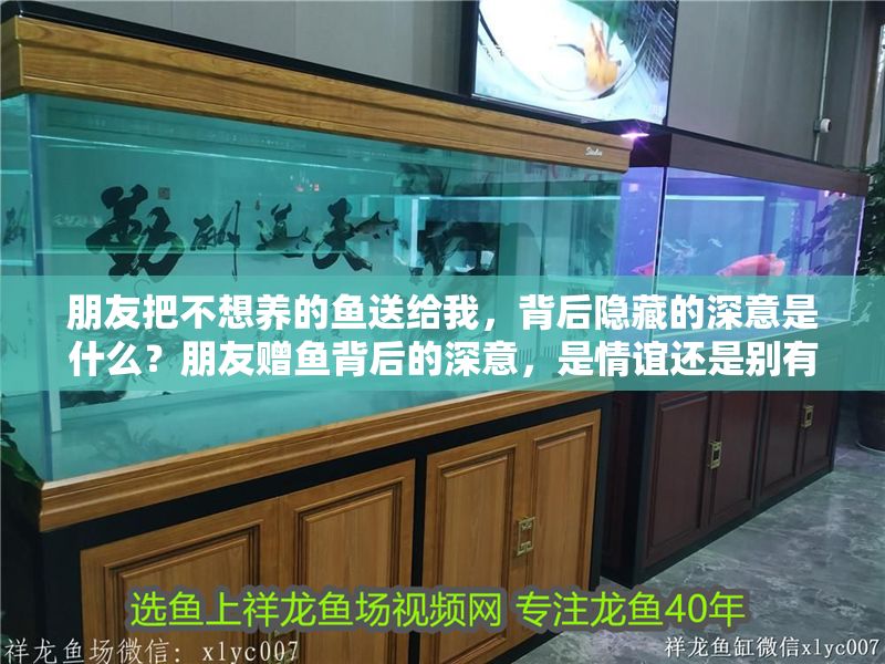 朋友把不想養(yǎng)的魚(yú)送給我，背后隱藏的深意是什么？朋友贈(zèng)魚(yú)背后的深意，是情誼還是別有用心？