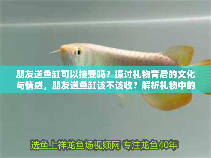朋友送魚缸可以接受嗎？探討禮物背后的文化與情感，朋友送魚缸該不該收？解析禮物中的文化寓意與情感考量