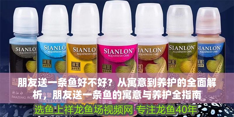 朋友送一條魚好不好？從寓意到養(yǎng)護(hù)的全面解析，朋友送一條魚的寓意與養(yǎng)護(hù)全指南