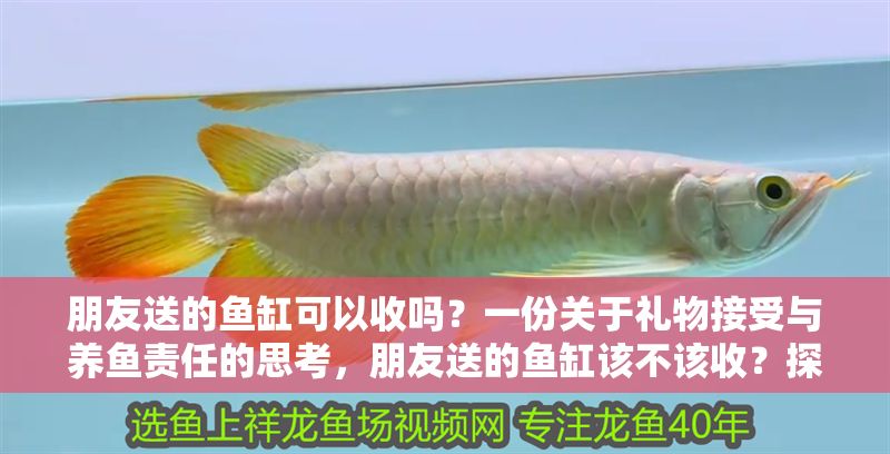 朋友送的魚缸可以收嗎？一份關于禮物接受與養魚責任的思考，朋友送的魚缸該不該收？探討禮物背后的責任與承諾