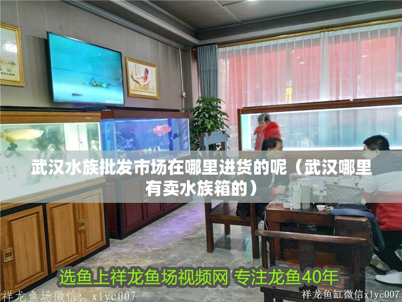 武漢水族批發市場在哪里進貨的呢（武漢哪里有賣水族箱的）