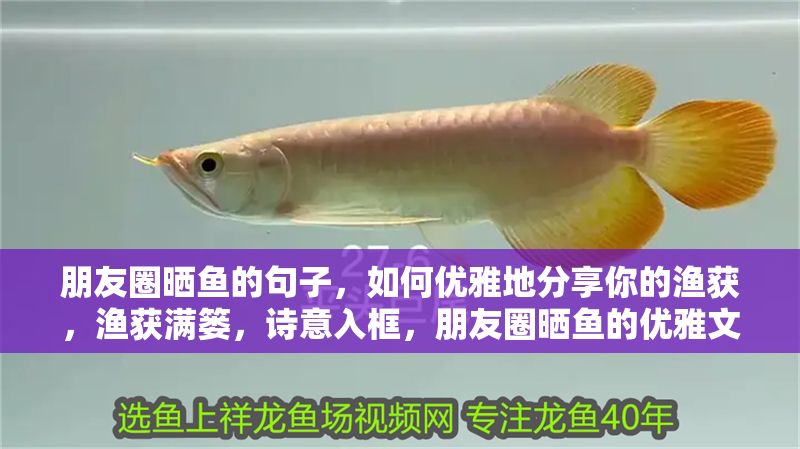 朋友圈曬魚的句子，如何優雅地分享你的漁獲，漁獲滿簍，詩意入框，朋友圈曬魚的優雅文案指南