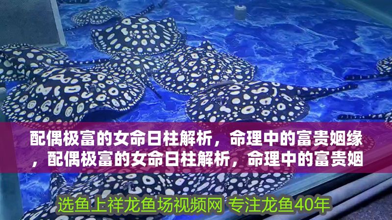 配偶極富的女命日柱解析，命理中的富貴姻緣，配偶極富的女命日柱解析，命理中的富貴姻緣特征