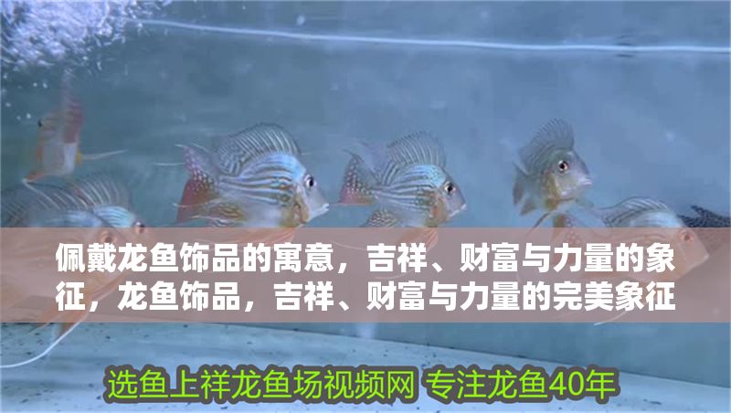 佩戴龍魚飾品的寓意，吉祥、財富與力量的象征，龍魚飾品，吉祥、財富與力量的完美象征
