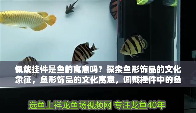 佩戴掛件是魚的寓意嗎？探索魚形飾品的文化象征，魚形飾品的文化寓意，佩戴掛件中的魚象征什么？
