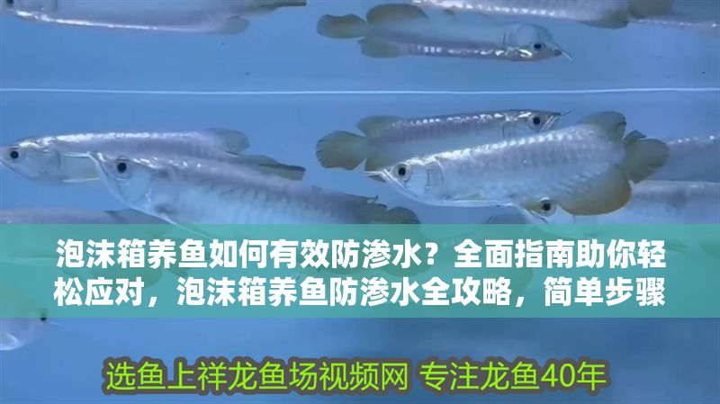 泡沫箱養魚如何有效防滲水？全面指南助你輕松應對，泡沫箱養魚防滲水全攻略，簡單步驟解決漏水難題